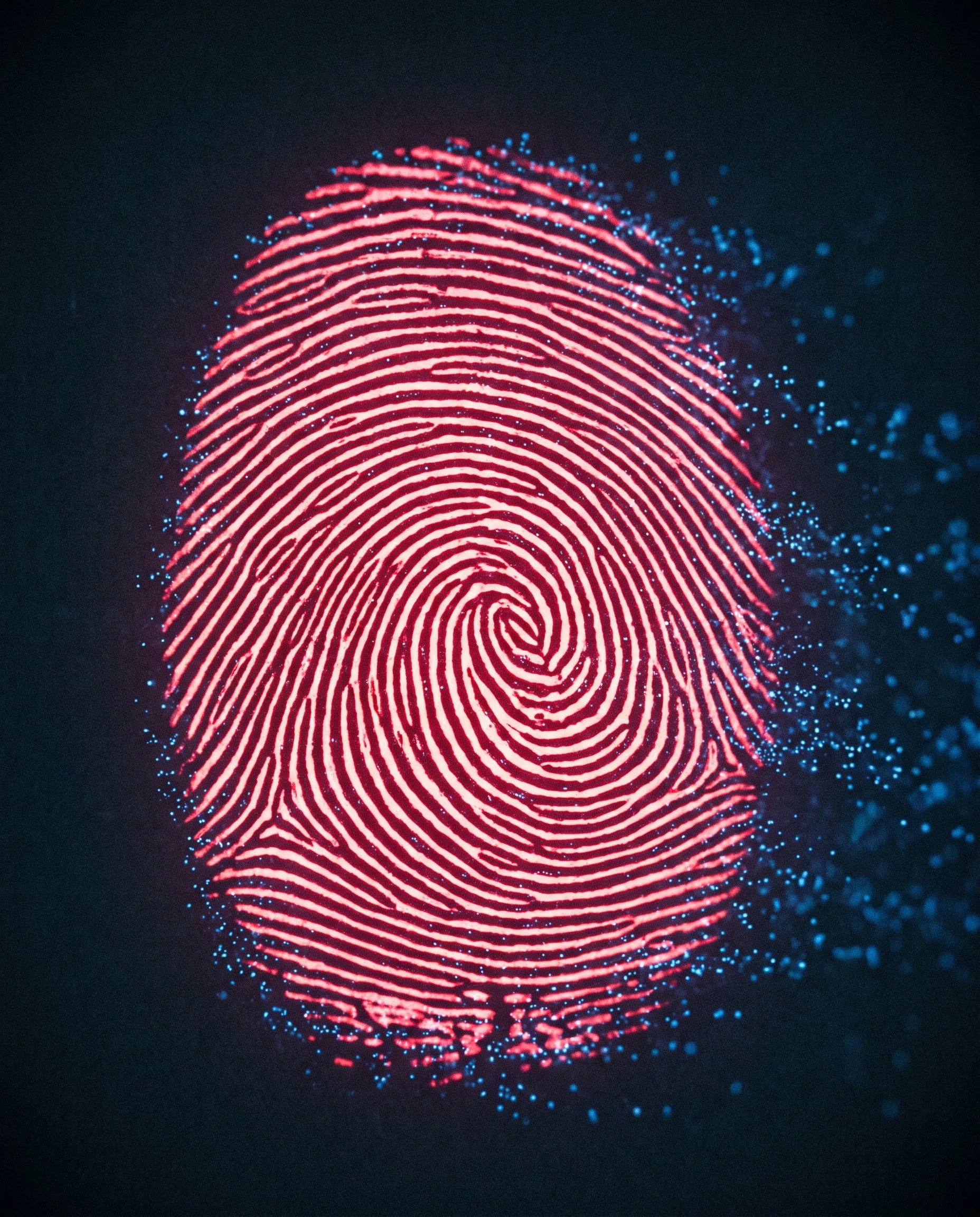 A fingerprint made of data lines
